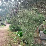 Casa vacanze Quinta Meneses Santa Cruz (Madeira)