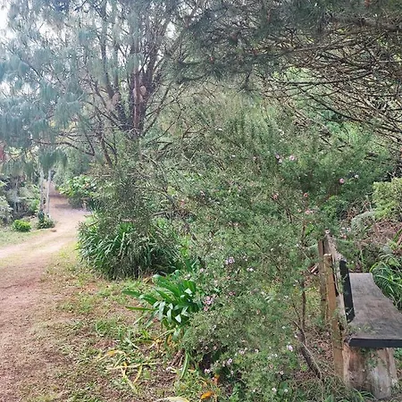 Casa de Férias Quinta Meneses Santa Cruz - Madeira