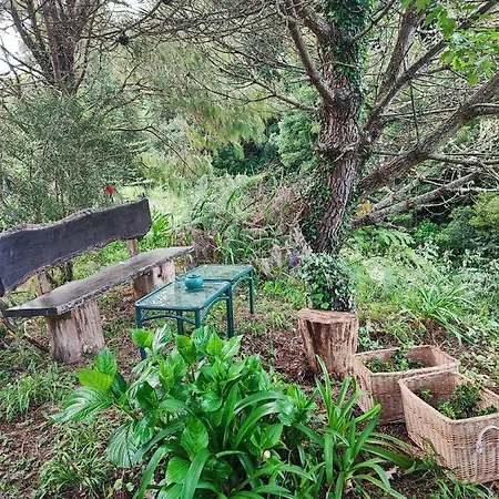 Quinta Meneses * Santa Cruz - Madeira