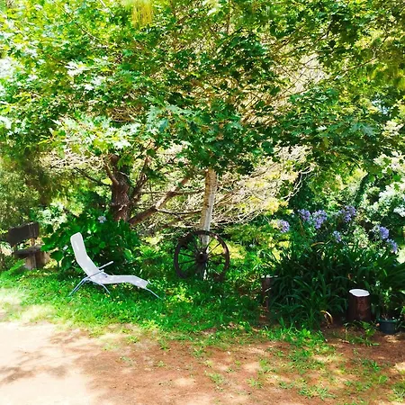 Quinta Meneses Casa de Férias *