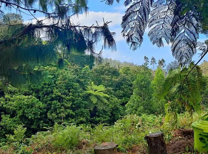 Casa vacanze Quinta Meneses *