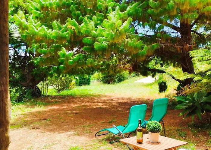 Quinta Meneses * Santa Cruz (Madeira)