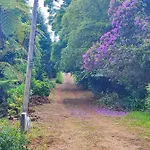 Quinta Meneses * Santa Cruz (Madeira)