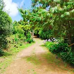 Quinta Meneses * Santa Cruz (Madeira)