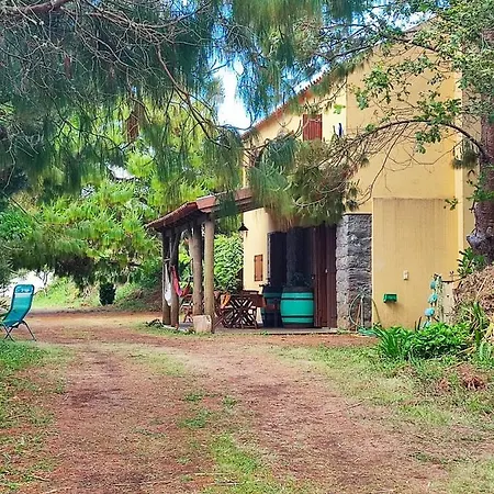 Quinta Meneses *