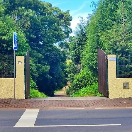 Quinta Meneses