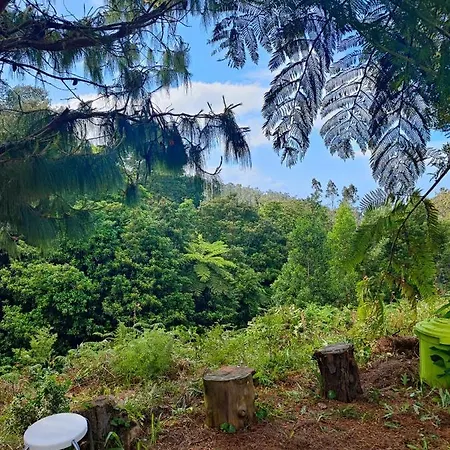 Tatil Evi Quinta Meneses *