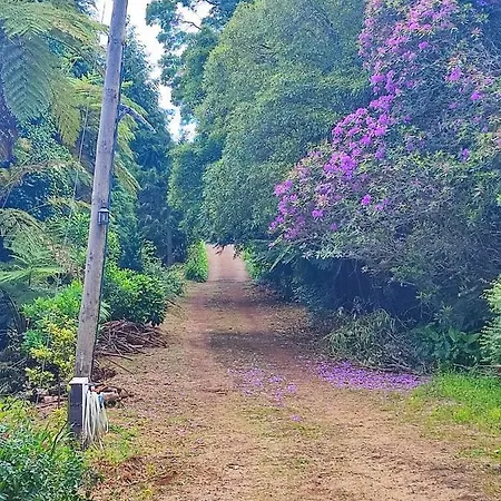 Quinta Meneses * Санта-Крус