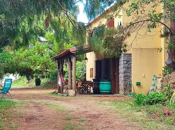 Quinta Meneses *