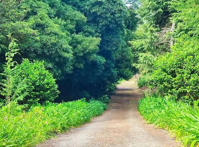 Quinta Meneses Santa Cruz (Madeira)