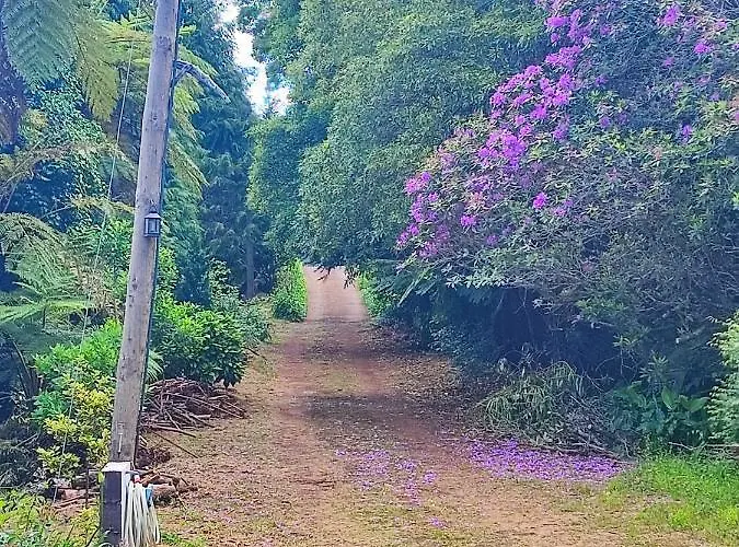 Quinta Meneses * Santa Cruz (Madeira)