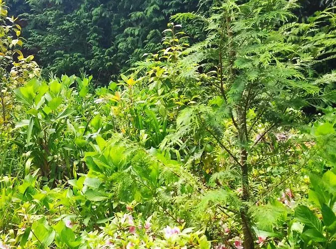 Quinta Meneses Prázdninový dům *